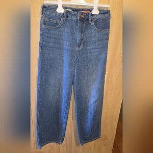Pilcro Anthropologie Wide Leg Jeans Women's Size 29